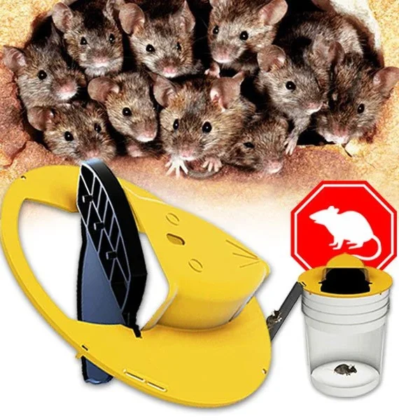 Hiirenloukku