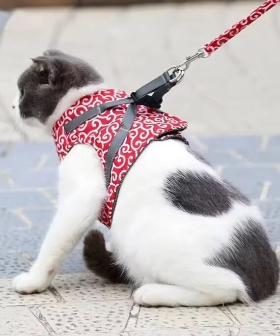 Kattenriem set