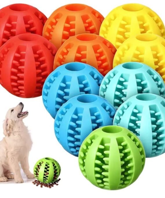 Hundeball med godbitutdeling