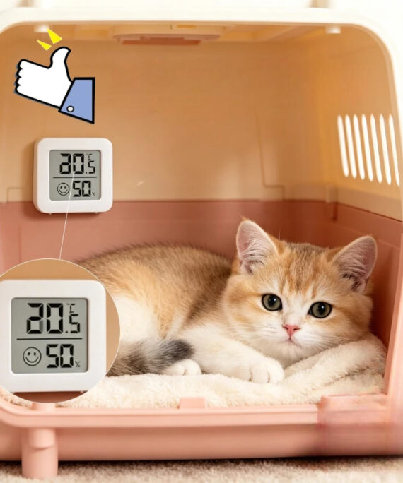Mini digitalt termo-hygrometer