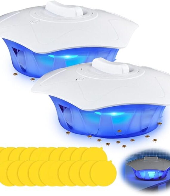 Lampa med klisterfälla för myggor inomhus