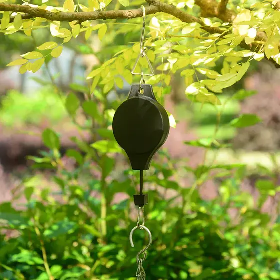 Plant hanging hooks