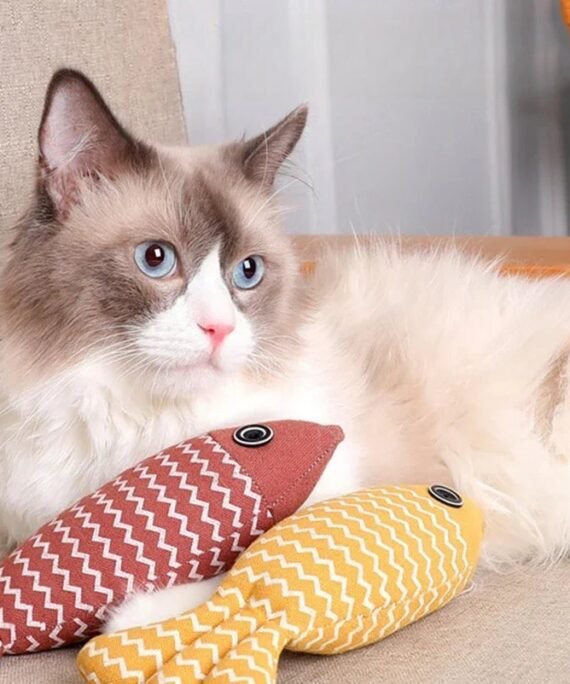 Catnip plush fish