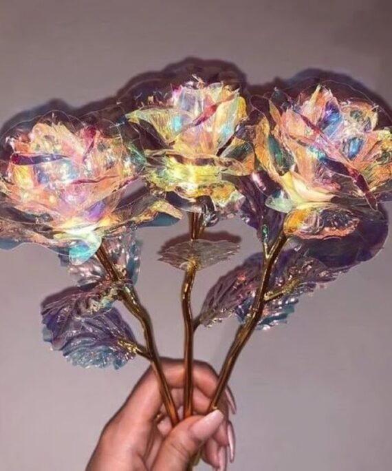 Galaxy rose (6 pcs)