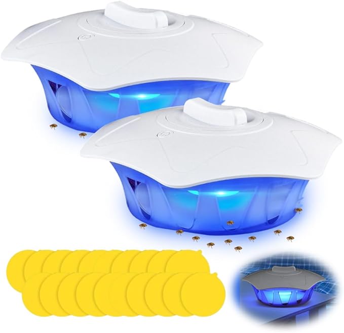 Indoor mosquito sticky trap lamp