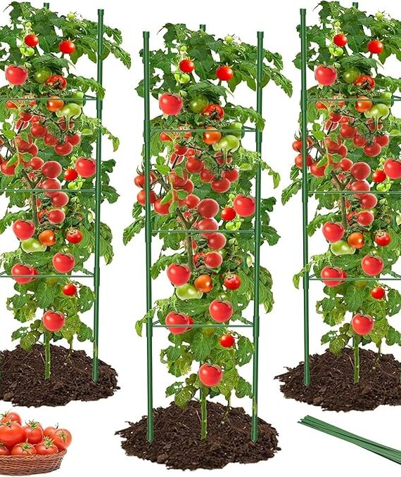 Square tomato rack (120 cm)