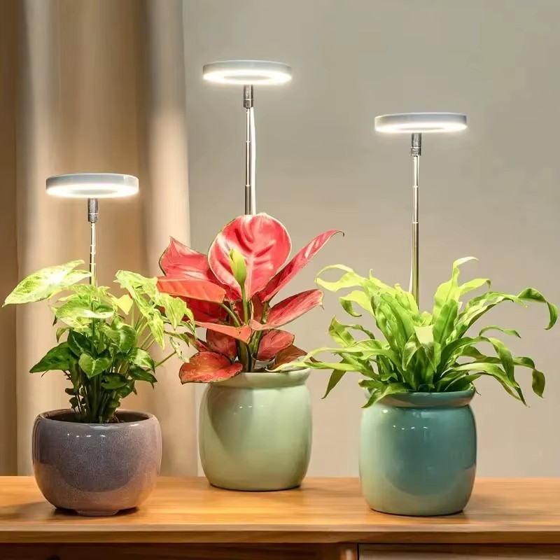 70704 Product photo