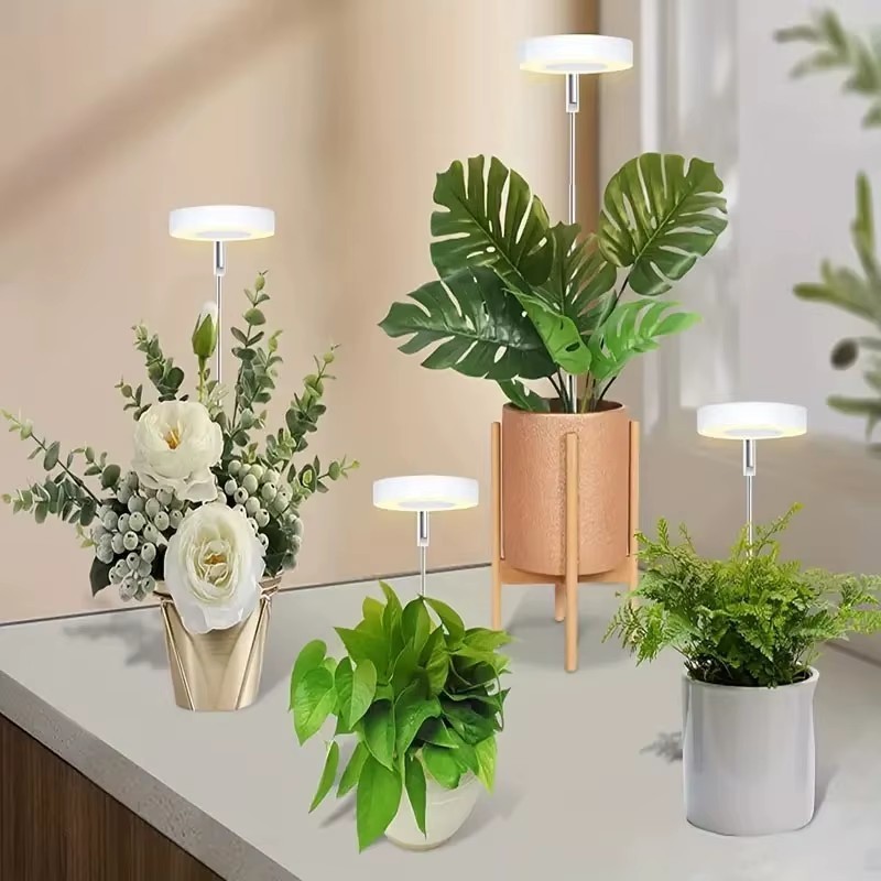 70704 Product photo