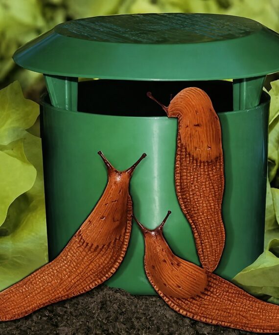 Reusable snail trap (2 pcs)