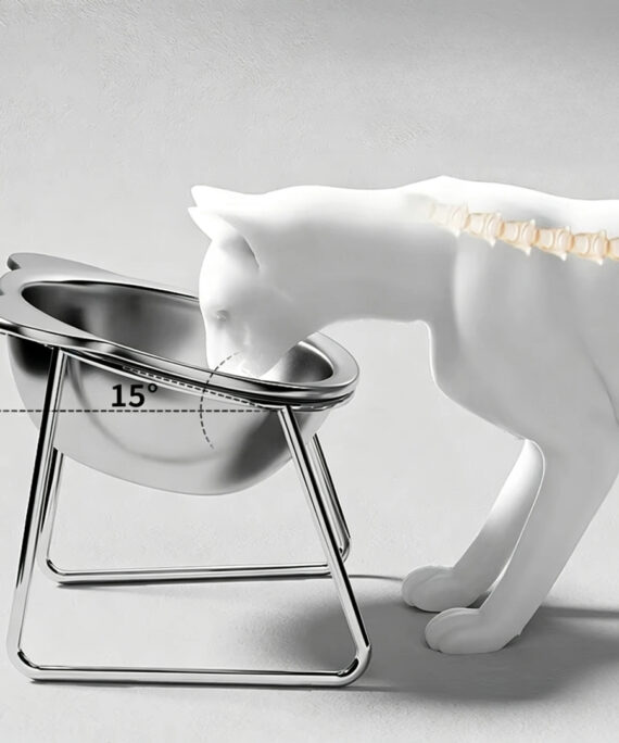 Stainless steel raised cat bowl