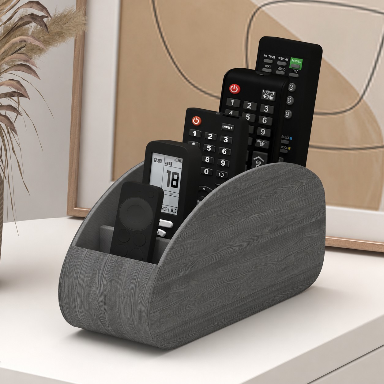 Remote control device organizer with remotes