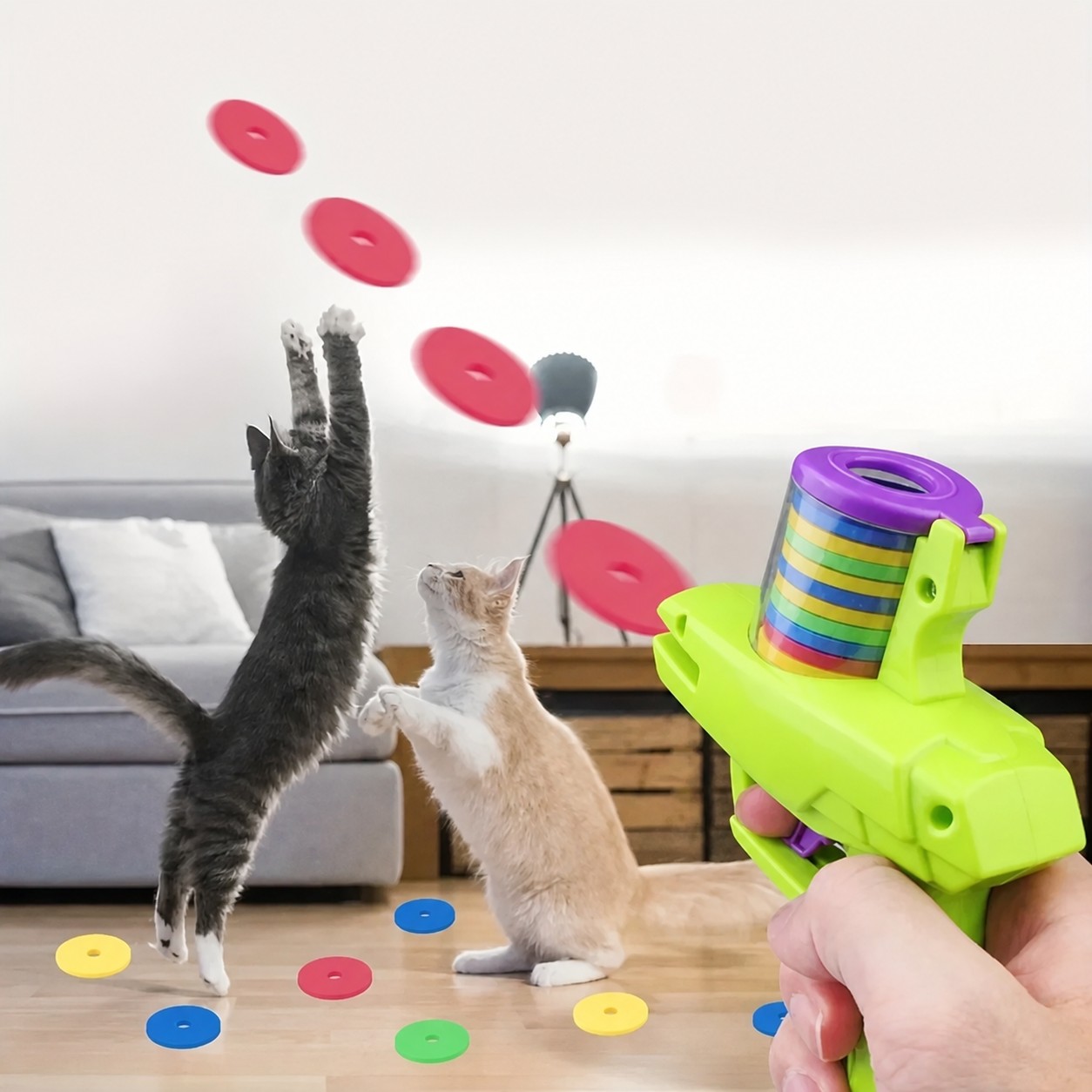 Cats playing with flying discs from pet launcher