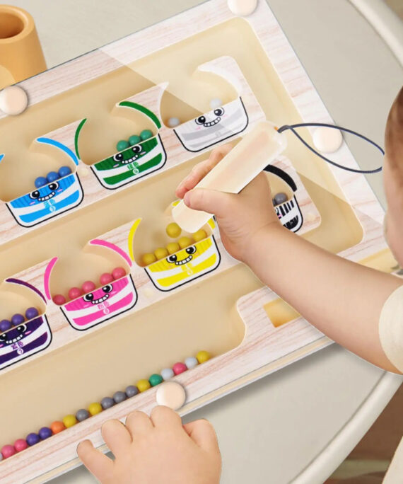 Montessori magnetic color sorting game