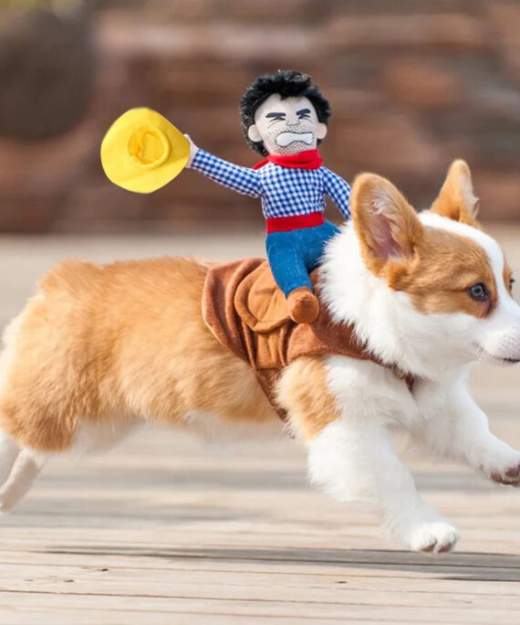 Cowboy dog costume