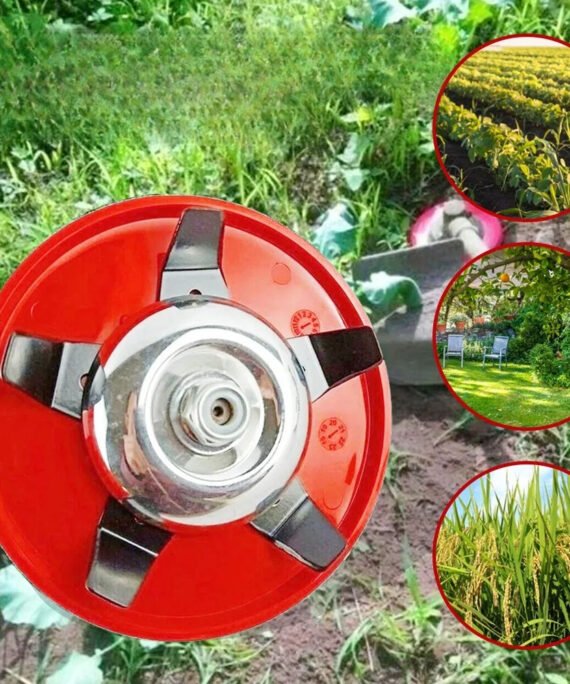 Weed removal disc