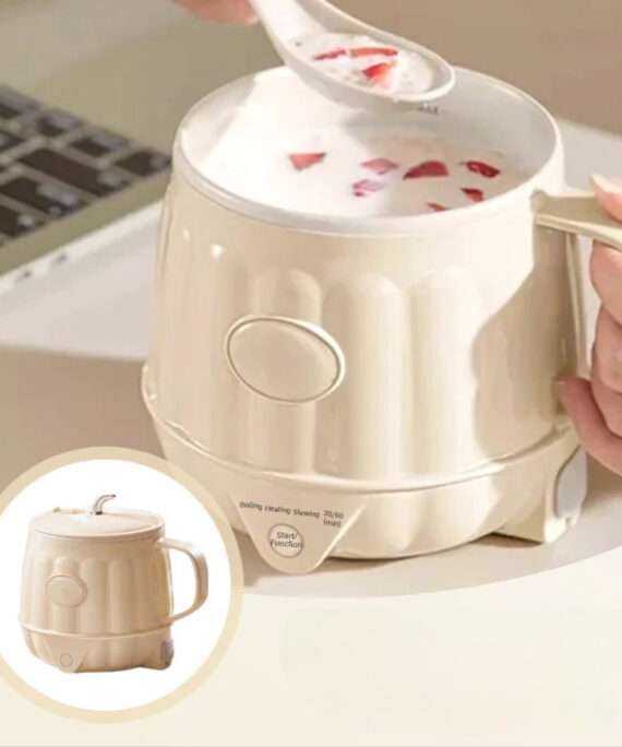 Multifunctional electric milk warmer