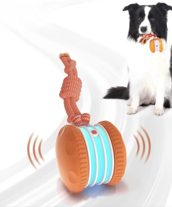 Interactive dog ball